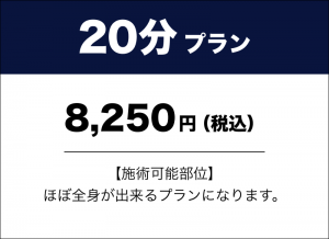 20分プラン　8,250円