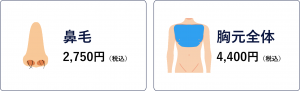 鼻毛2,750円　胸元全体4,400円