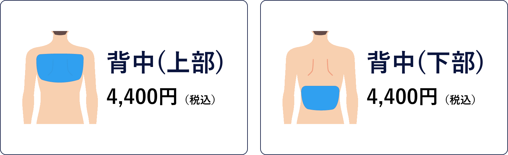 背中上部4,400円　背中下部4,400円