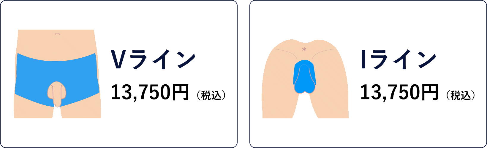 Vライン　13,750円　Iライン　13,750円